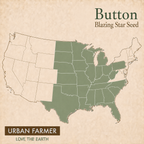 Button, Blazing Star Seed