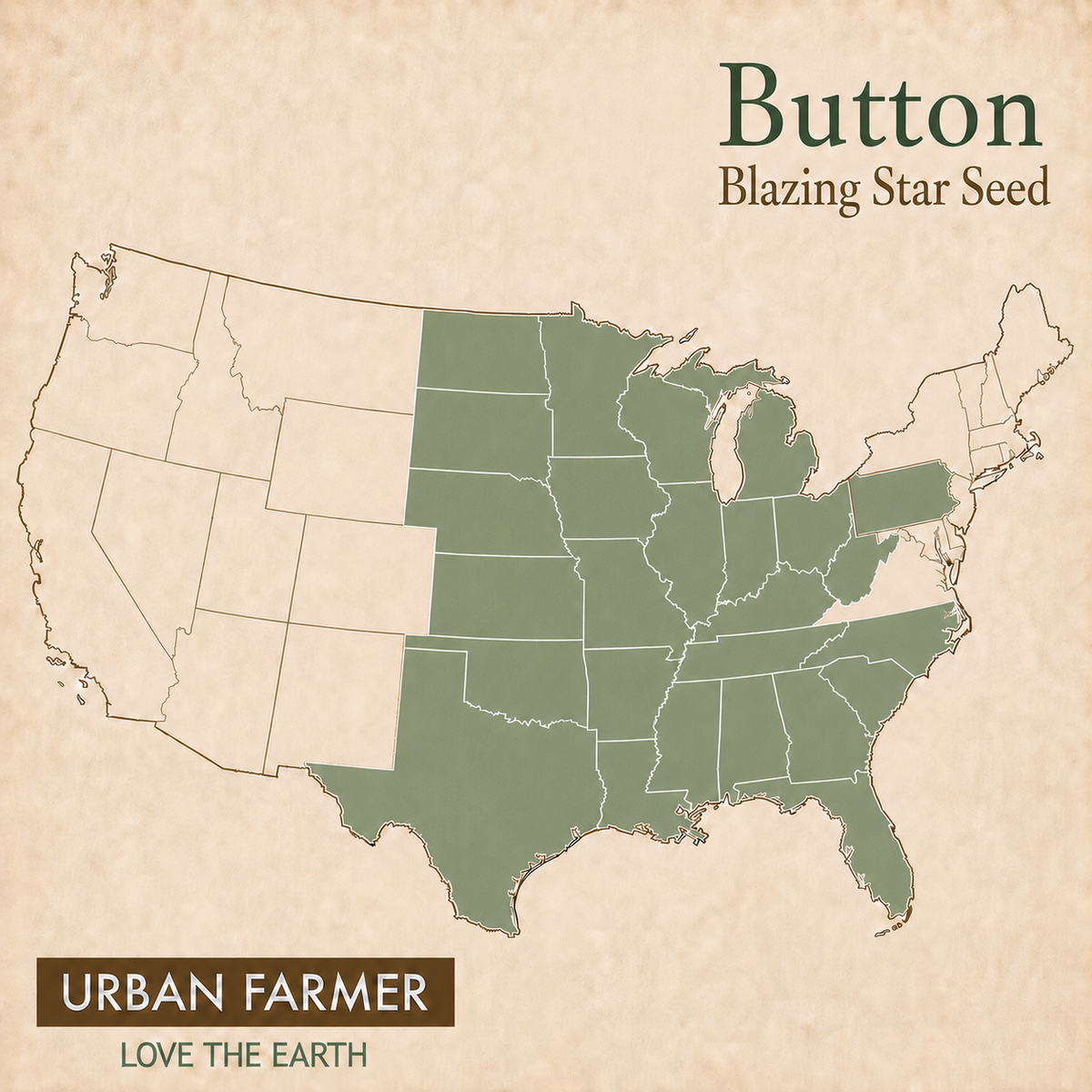 Button, Blazing Star Seed