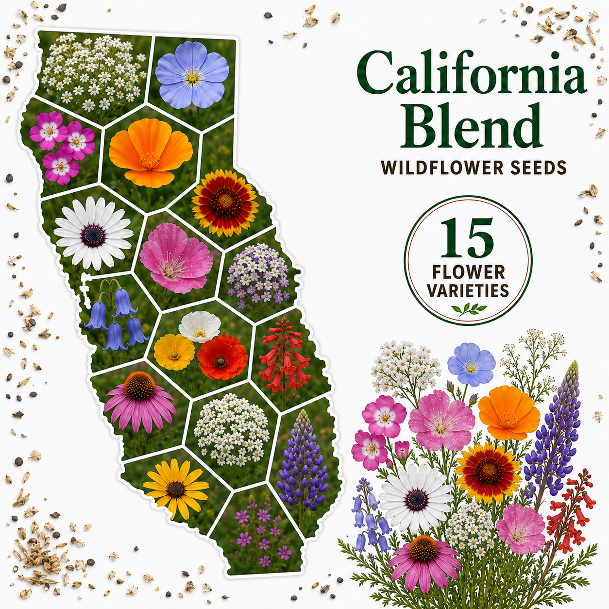 California Blend, Wildflower Seed