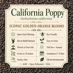 California Poppy growing attributes