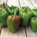 [TEST][PDP] fixture image from california-wonder-pepper-seeds