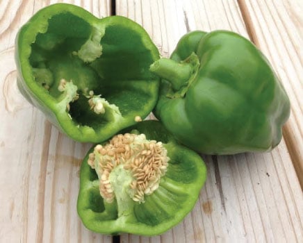 [TEST][PDP] fixture image from california-wonder-pepper-seeds