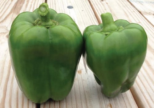 California Wonder, Pepper Seeds