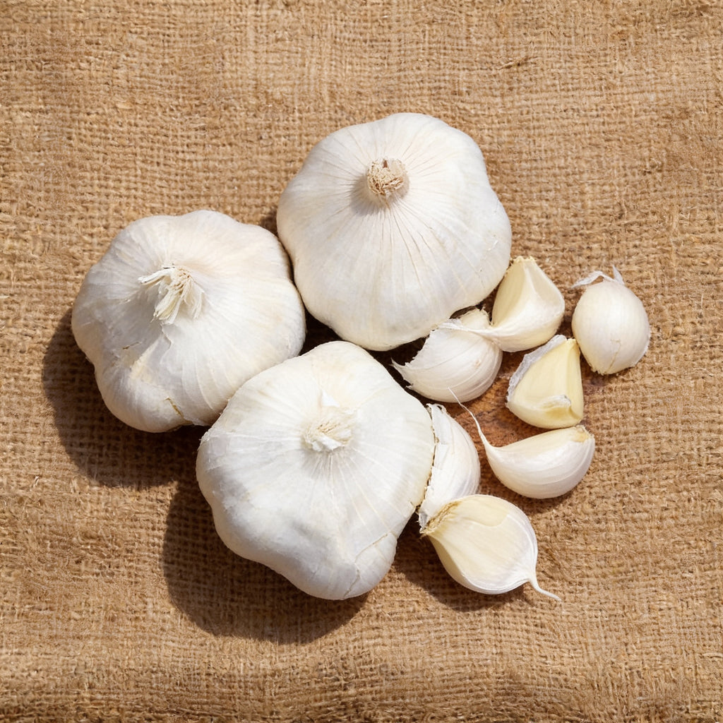 California Early, Garlic Seed