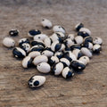 Calypso, Bean Seeds