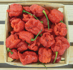 Carolina Reaper, Pepper Seeds
