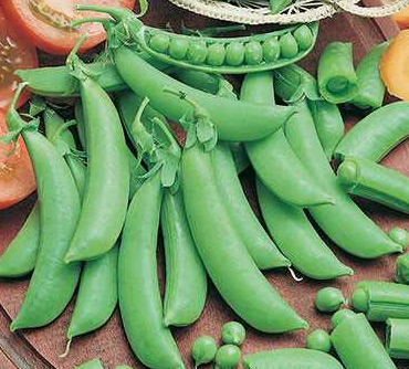 Cascadia, Pea Seeds
