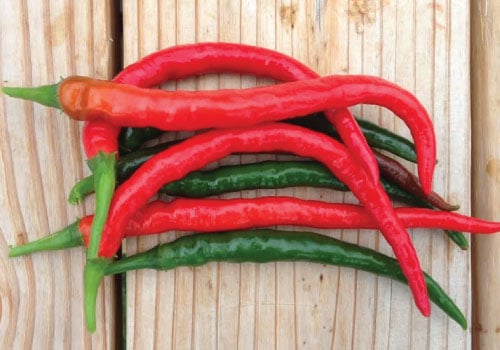 Long Red Slim Cayenne, Pepper Seeds