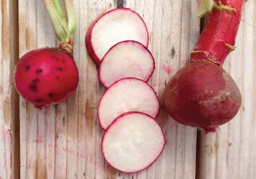 Champion, Radish Seeds