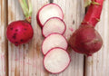 Champion, Radish Seeds
