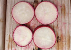 Champion, Radish Seeds