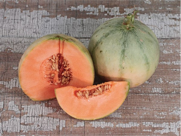 Charentais, Cantaloupe Seeds