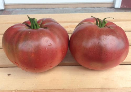 Cherokee Purple, Tomato Seeds
