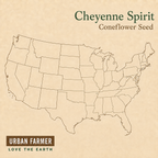 Cheyenne Spirit, Coneflower Seed