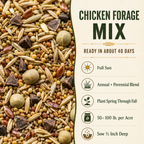 Chicken Forage Mix growing guide and seed blend