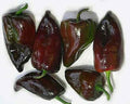 Mulato Isleno, Pepper Seeds