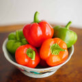 Chili Pie, (F1) Pepper Seeds