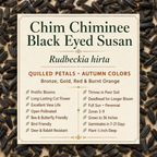 Chim Chiminee Black-Eyed Susan growing attributes