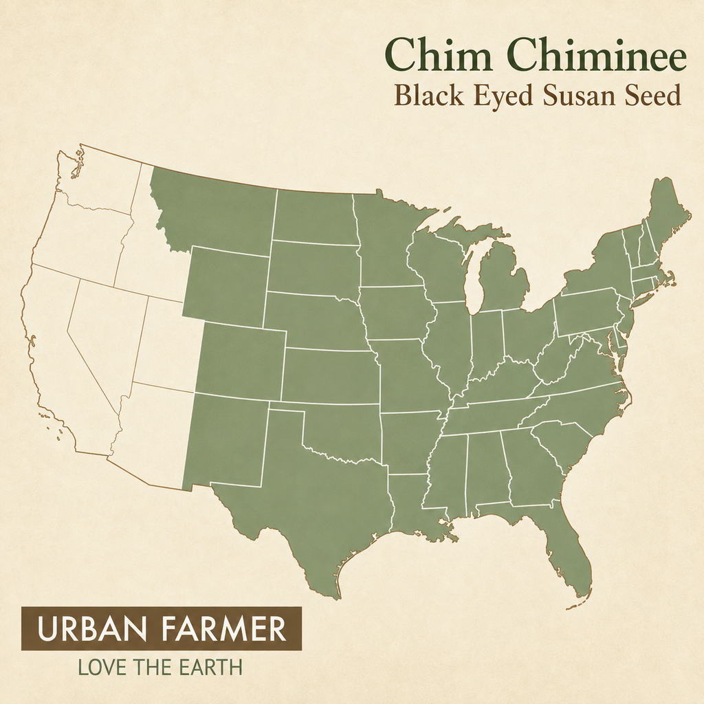 Chim Chiminee Black-Eyed Susan native range
