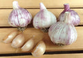 Georgian Fire, Garlic Seed