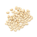 Chivo Blanco, Bean Seeds
