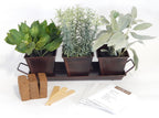 Metal Herb Kit (Square), Herb Kit
