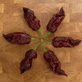 Chocolate Bhut Jolokia, Pepper Seeds