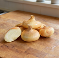 Cipollini Yellow, Onion Seeds