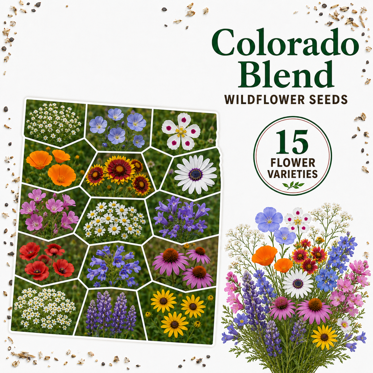 Colorado Blend, Wildflower Seed