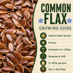 Common Flax growing guide and seed