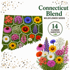 Connecticut Blend, Wildflower Seed