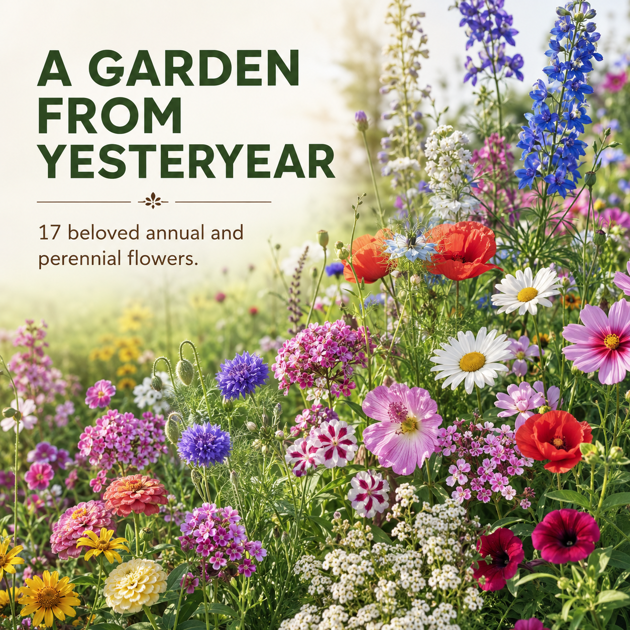 Cottage Garden Wildflower Mix