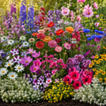 Cottage Garden Wildflower Seed