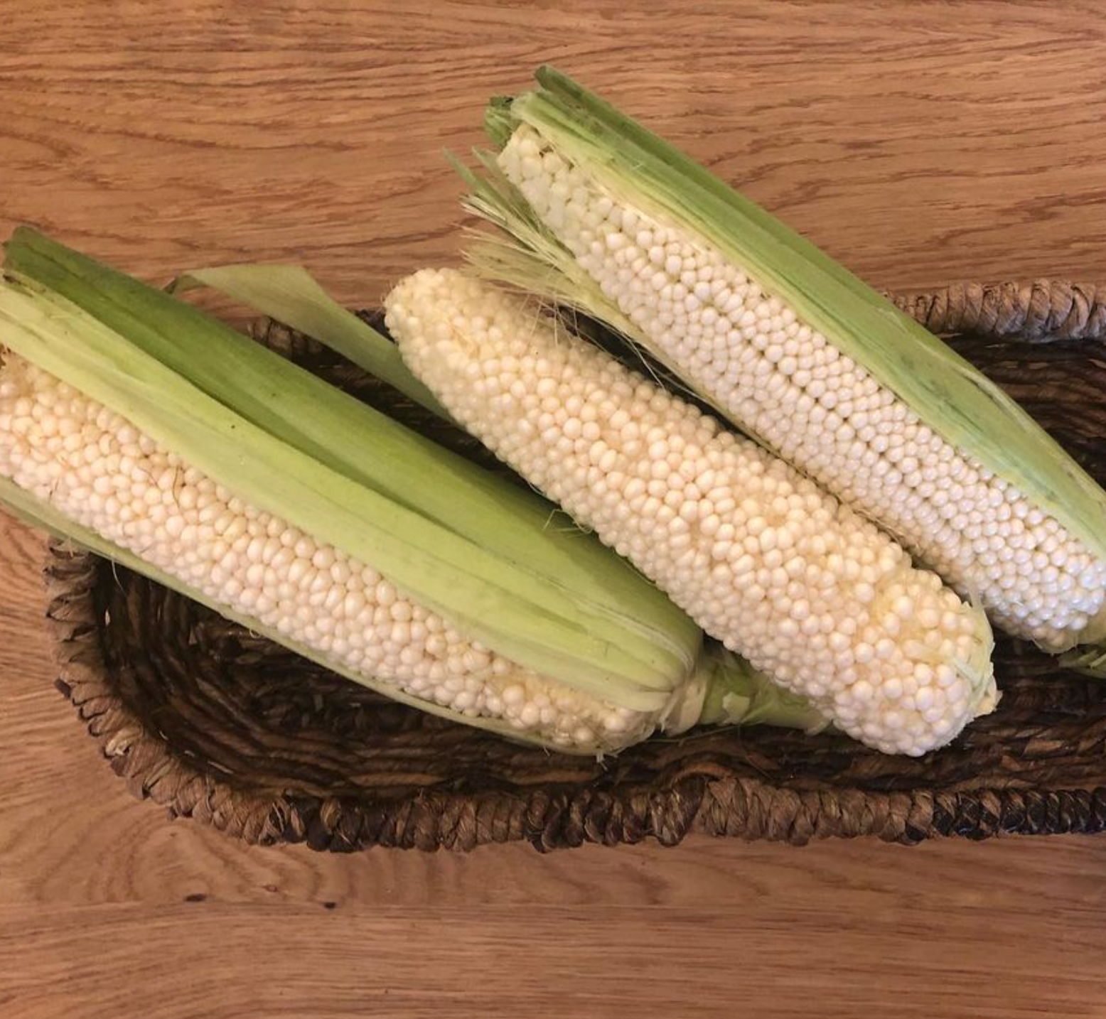 Country Gentleman, Corn Seed