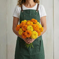 Crackerjack, Marigold Seeds