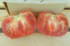 Crnkovic Yugoslavian, Tomato Seeds