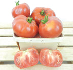 Crnkovic Yugoslavian, Tomato Seeds
