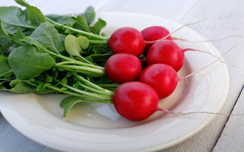 Crunchy Crimson, (F1) Radish Seeds