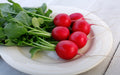 Crunchy Crimson, (F1) Radish Seeds