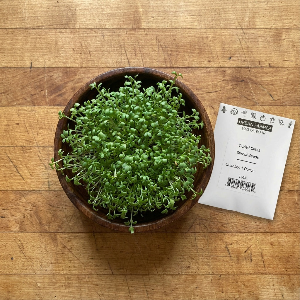 Curled, Cress Seed