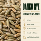 Danko Rye growing guide and seed