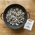Dapple Grey, Bean Seeds