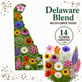 Delaware Blend, Wildflower Seed