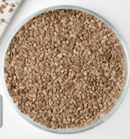 False Aralia, Dizygotheca Seed