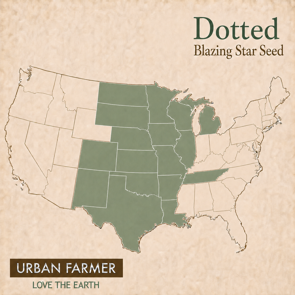 Dotted, Blazing Star Seed