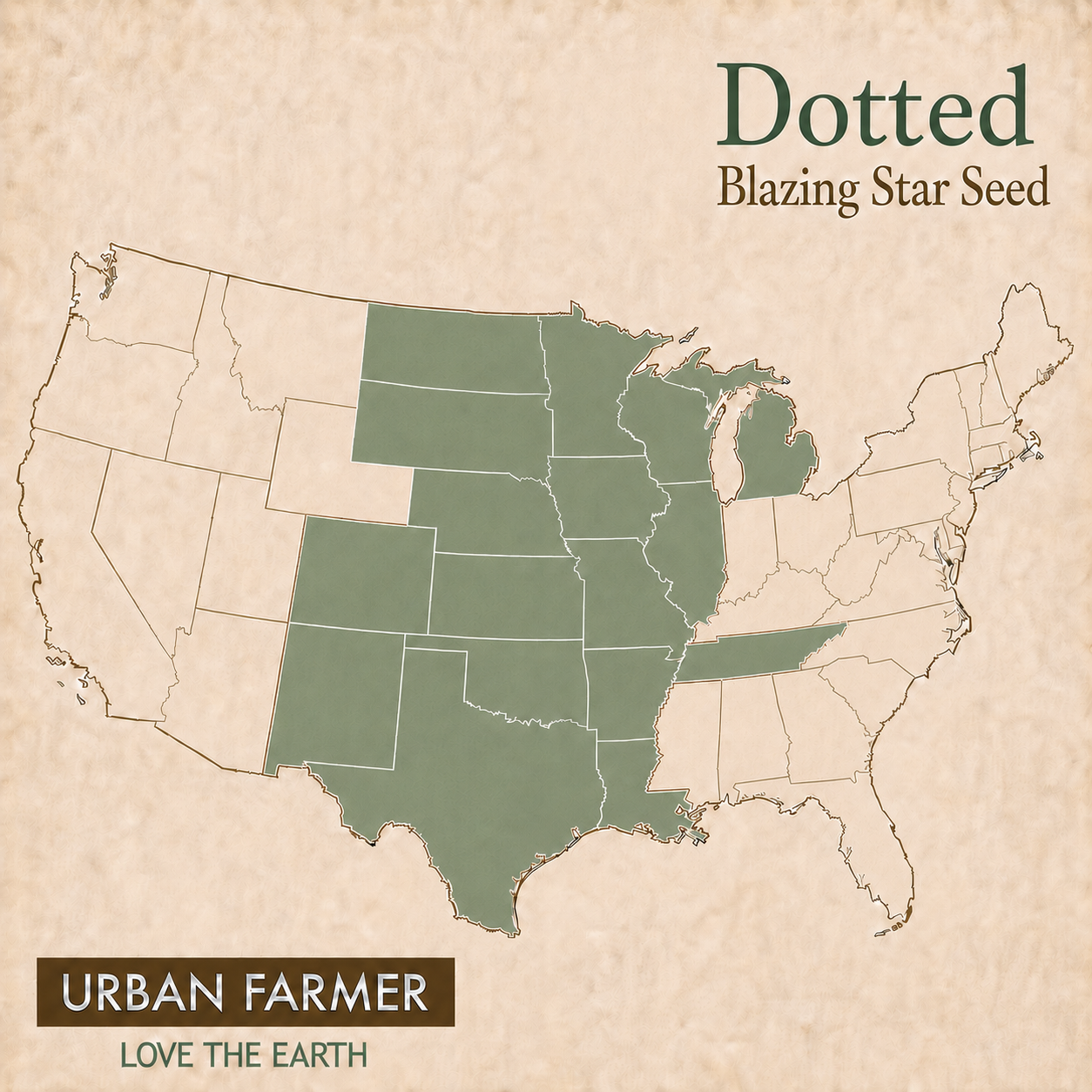Dotted, Blazing Star Seed