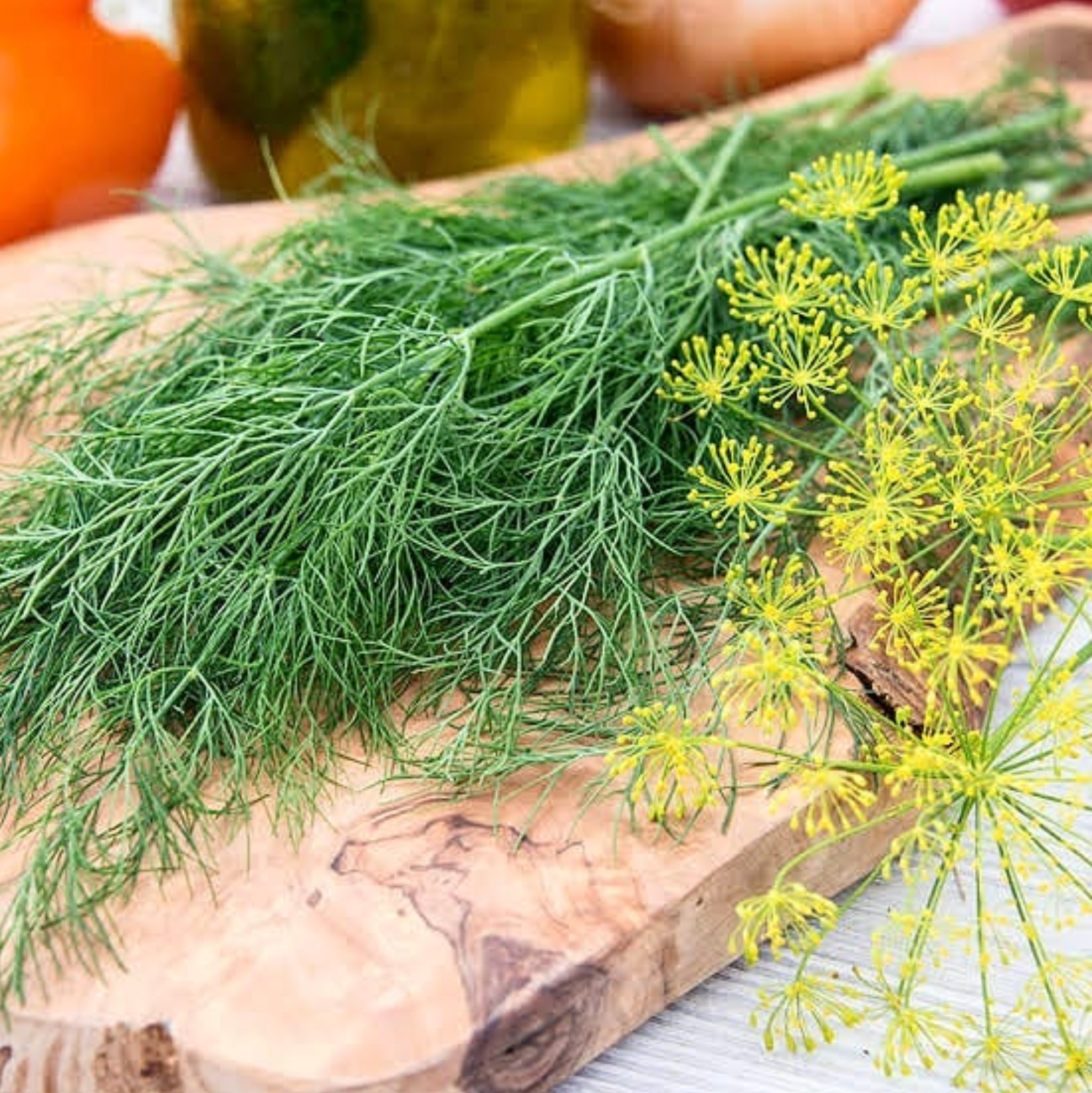 Dukat, Dill Seeds