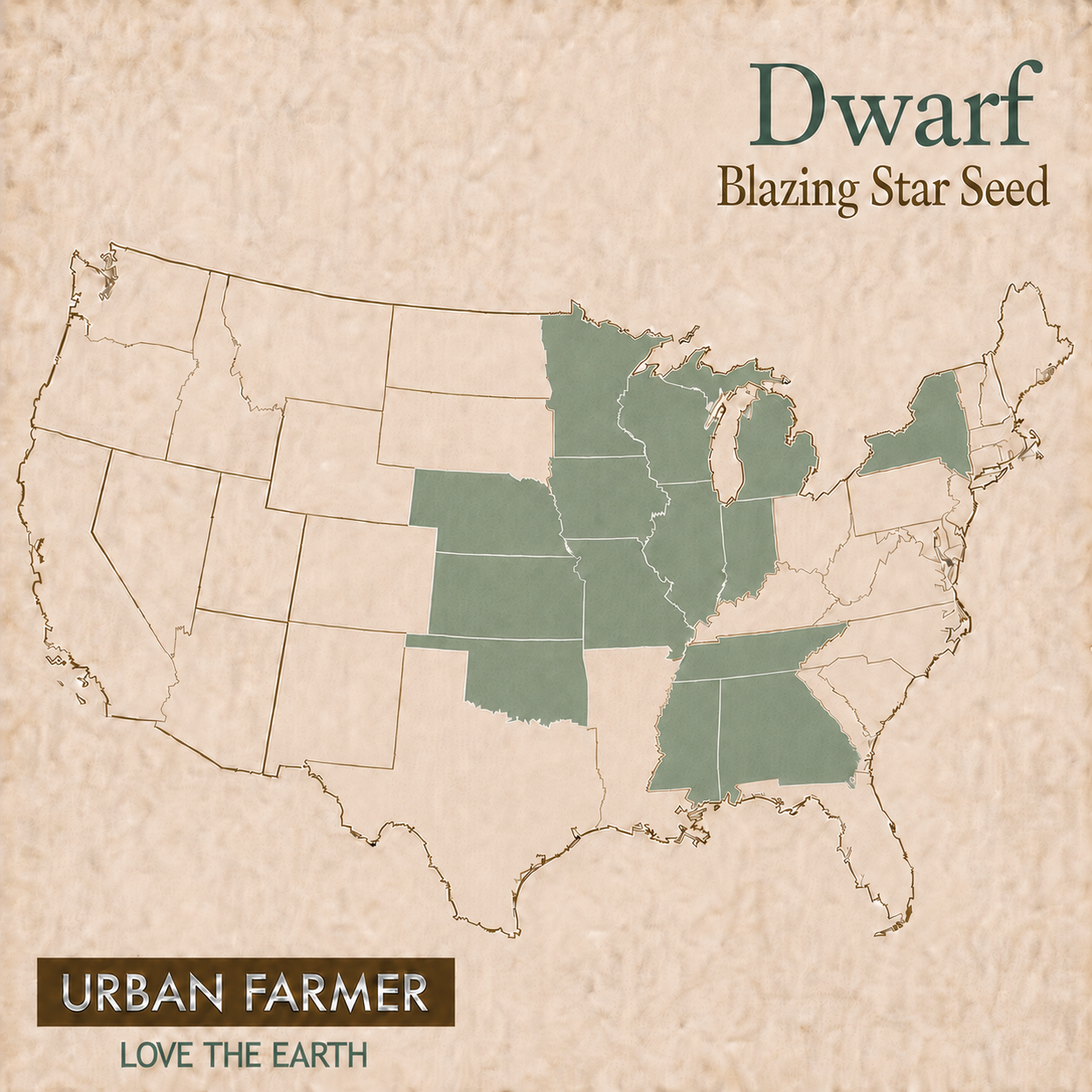 Dwarf, Blazing Star Seed