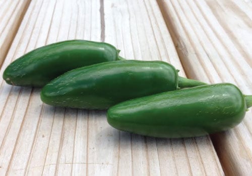 Early Jalapeno, Pepper Seeds