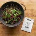 Early Wonder Beet, Microgreen Seeds